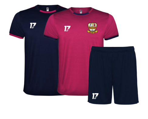 Hawcoat Park 17Pro training Set