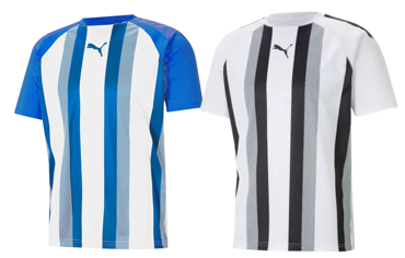 Puma TeamLiga Striped Jersey