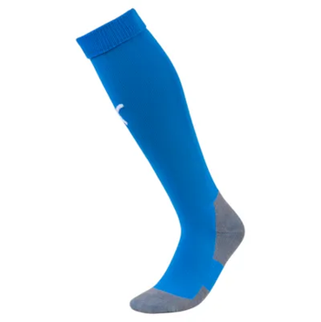 Puma TeamLiga socks