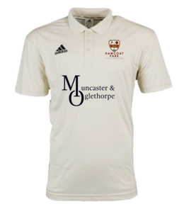 Hawcoat Park Cricket Playing Polo