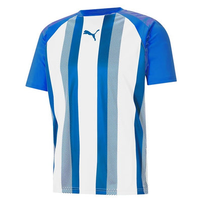 Puma TeamLiga Striped Jersey