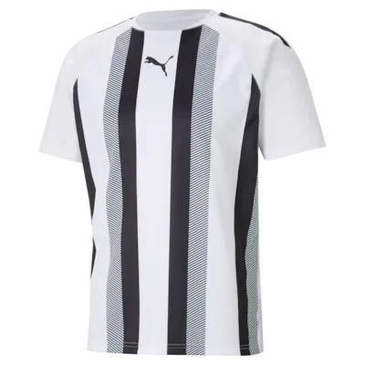 Puma TeamLiga Striped Jersey