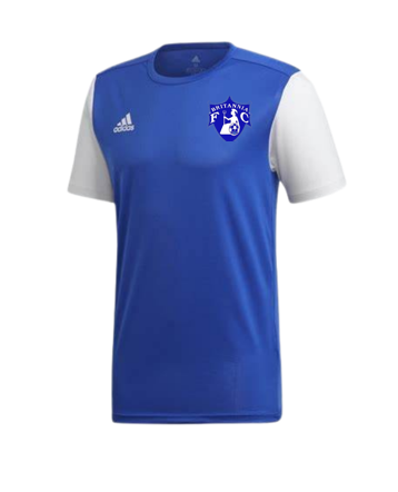 Britannia FC Training Tee