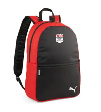 Swarthmoor Social Backpack