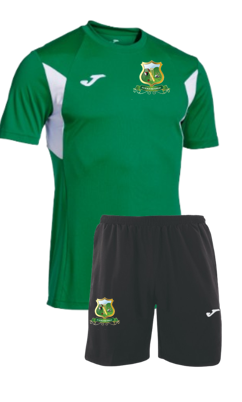Lindal CC Training T& Shorts set