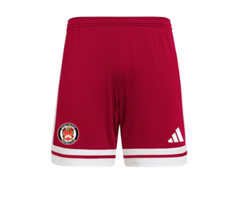 Access Sport Training Shorts