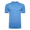 Puma teamFINAL 21 Jersey (light blue)