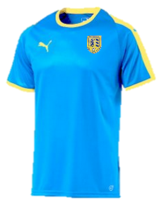 Burneside FC Training T shirt