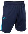 Furness Cavaliers Coaches Training Shorts