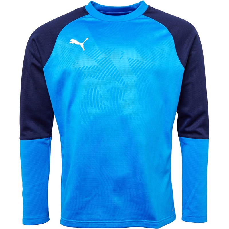 Puma CUP Training Sweatshirt (Elec Blue/ Peacoat)