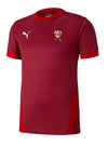 Hawcoat Park Cricket Club T20 Shirt