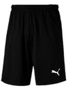 Kendal College Sports Dept Puma Liga Training Shorts